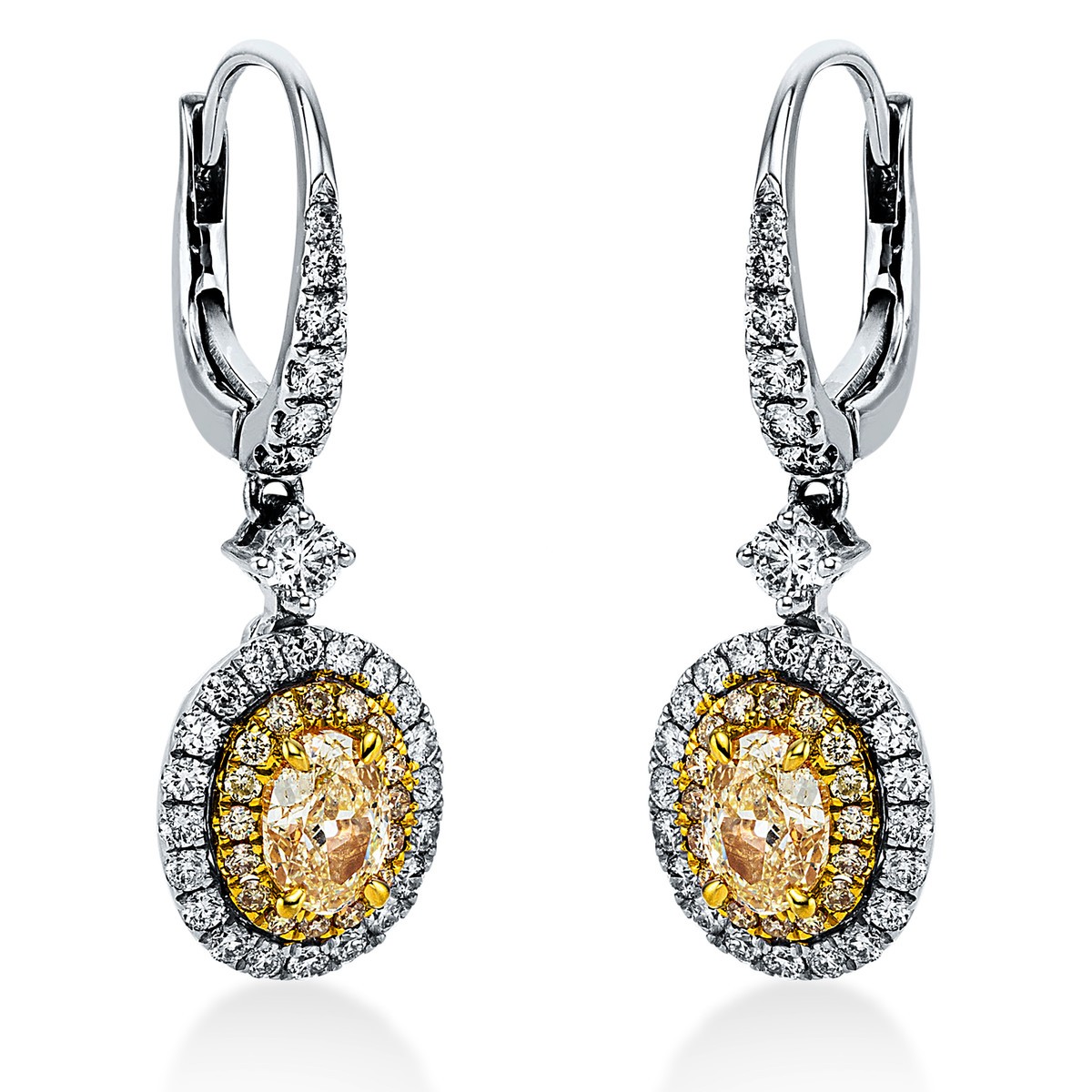 earrings 18 kt WG+YG